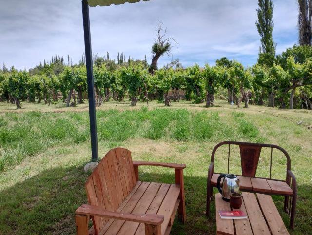 Cabana Girasoles Mi Campito Cachi Salta מראה חיצוני תמונה